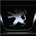 calandre peugeot.jpg.bmp (6266 octets)
